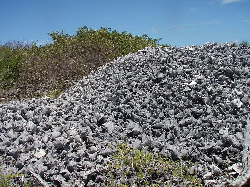 File:Conch graveyard.jpg