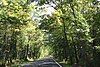 The "Covered Trail" along US 41 south of Copper Harbor