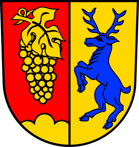 File:DEU Ehrenkirchen COA.svg