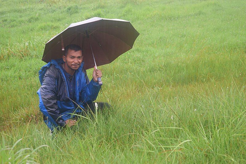 File:Dipankar ka umbrella.jpg