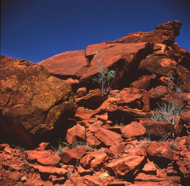 File:Ewanginga outcrop petroglyphs.jpg