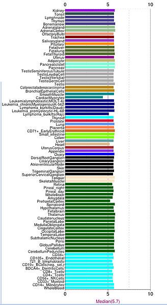 File:Expression of FAM167A.jpg