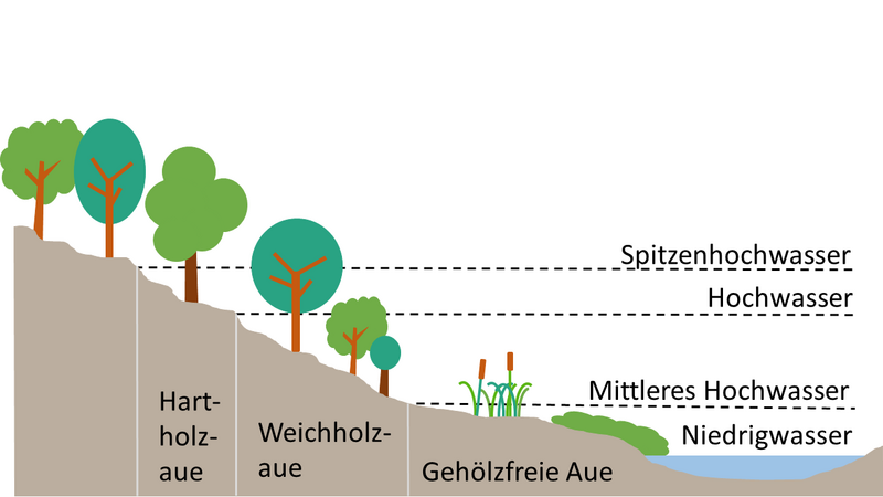 File:Fluassauenzuordnung.png