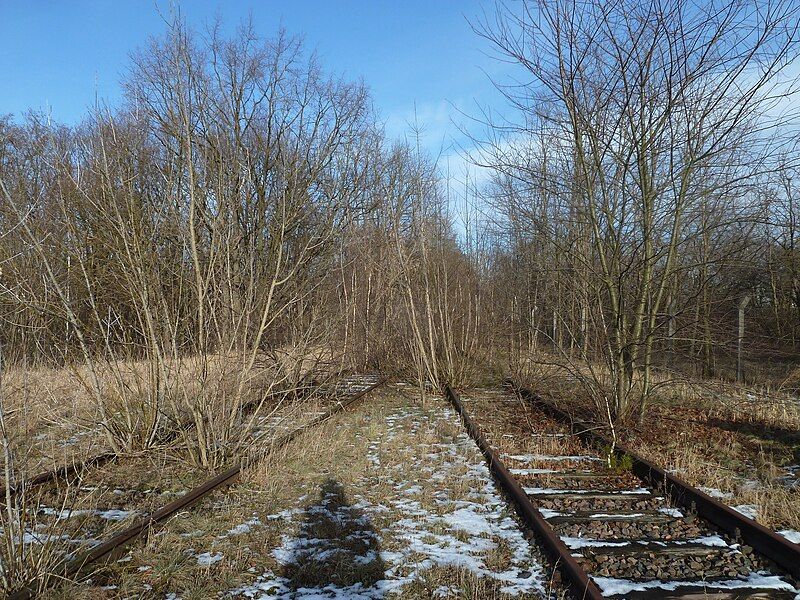 File:JüterbogMilitärbahnhofGleise.JPG