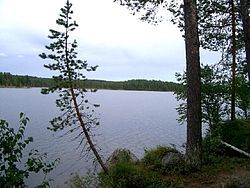 View of lake