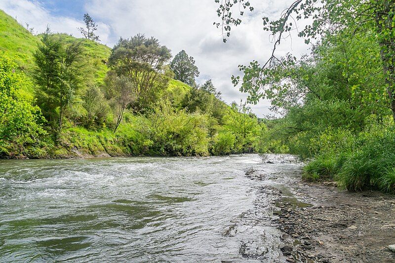 File:Mangaotaki River 04.jpg