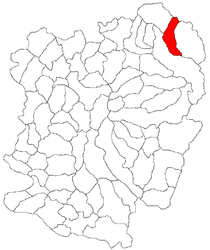 Location in Caraș-Severin County