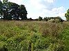 Greetham Meadows