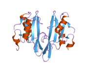 2aug: Crystal structure of the Grb14 SH2 domain