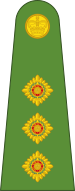 File:PNGDF Land OF-02.svg