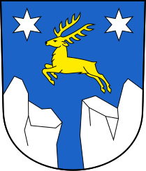 File:Rüthi-blazon.svg