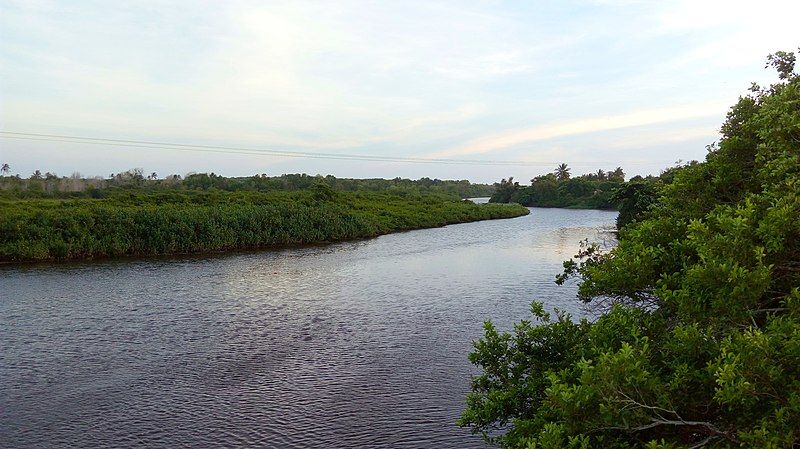 File:Rio Itaúnas 1.jpg