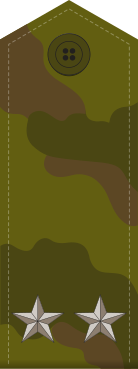 File:Russia-Army-OF-4-camo.svg