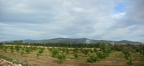 Serra de Collredó range seen from an orange grove in Mianes