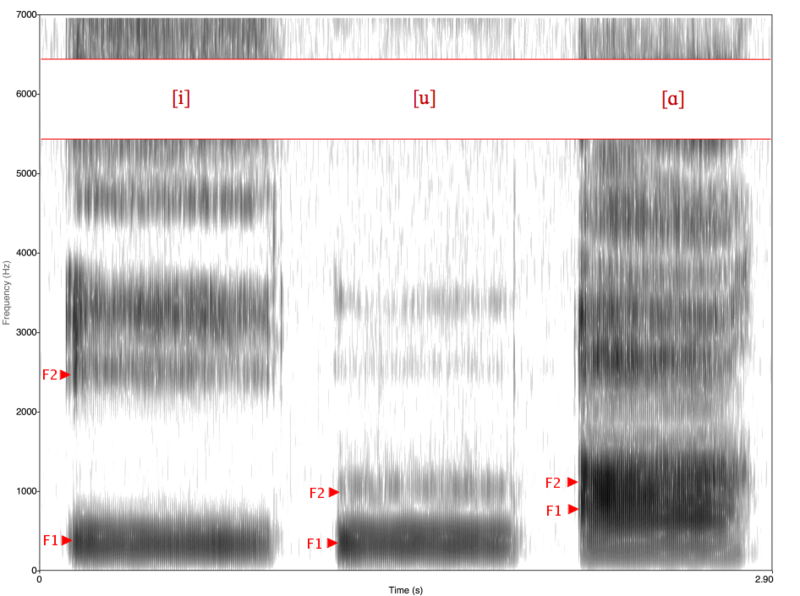 File:Spectrogram -iua-.png