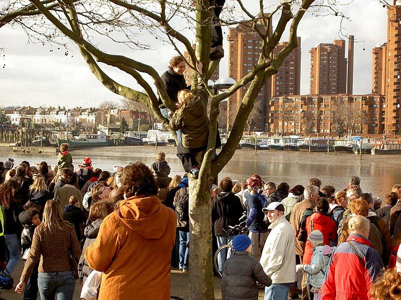 File:Thames Whale Crowds.jpg