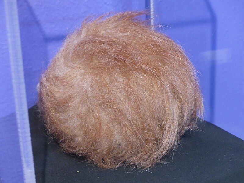 File:Tribble prop.jpg