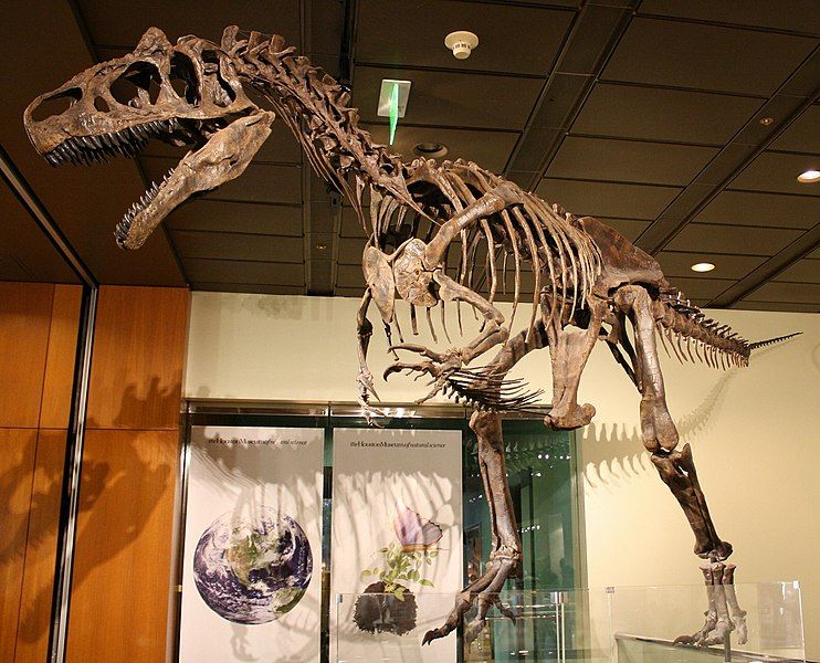 File:WLA hmns Allosaurus.jpg