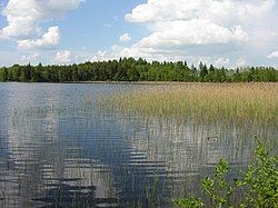 Žiaunė lake