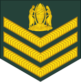 File:04-Tanzania Army-SSG.svg