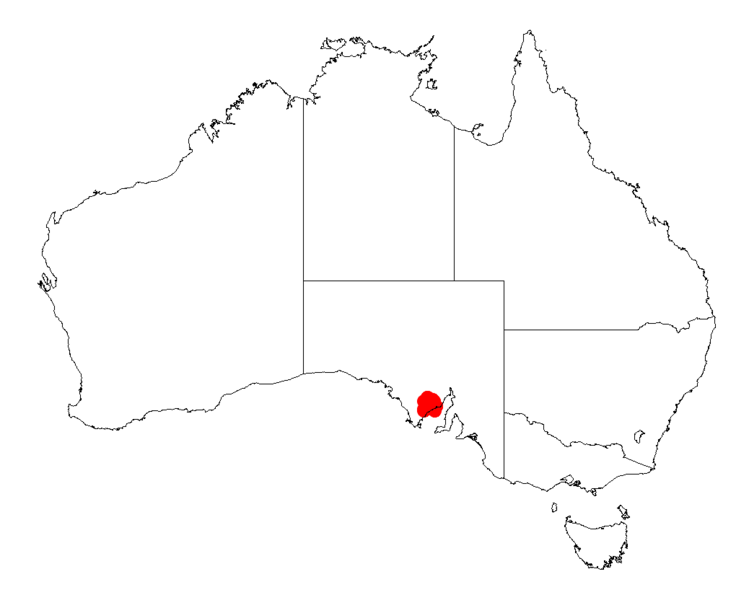 File:Acacia hexaneuraDistMap432.png