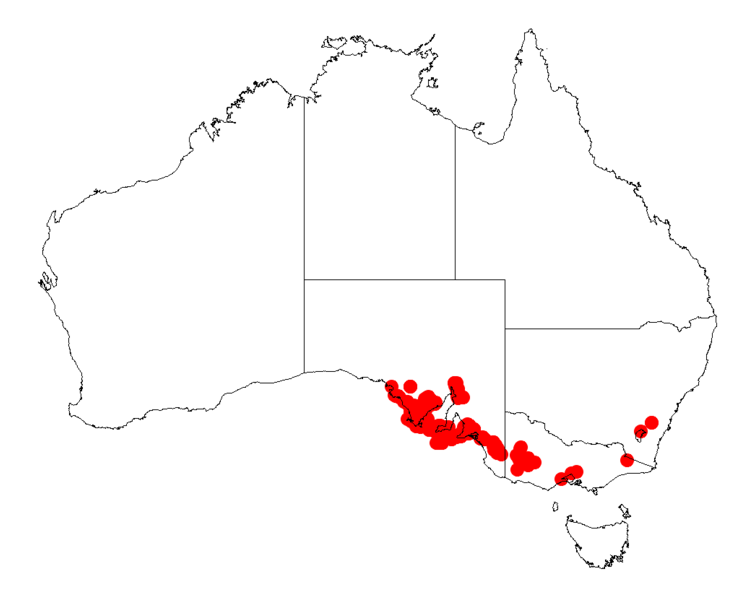 File:Acacia rupicolaDistMap783.png