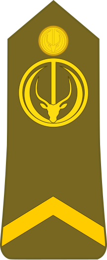 File:Chad-Army-OR-5.svg