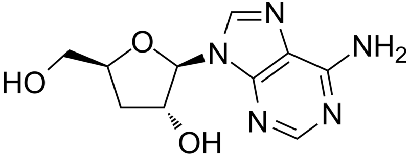 File:Cordycepin.png