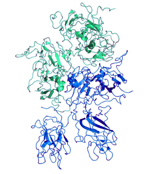 File:Emicizumab.png