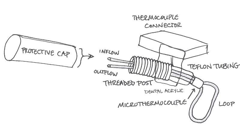 File:Labeledcryoloopwithcap.PNG