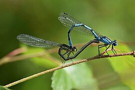 Nature and Wildlife winner by: Lorraine Wenham