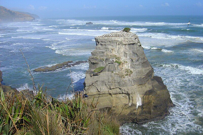 File:Muriwai coast.JPG