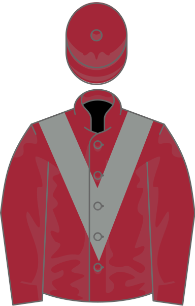 File:Owner Fieldspring Racing.svg