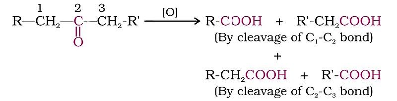 File:Oxidation of Ketone.jpg