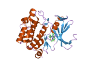 2bzj: CRYSTAL STRUCTURE OF THE HUMAN PIM1 IN COMPLEX WITH A RUTHENIUM ORGANOMETALLIC LIGAND RU3