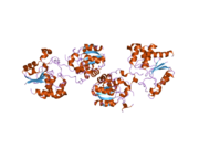 2c46: CRYSTAL STRUCTURE OF THE HUMAN RNA GUANYLYLTRANSFERASE AND 5'-PHOSPHATASE