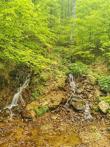 File:Planina Ostrozub 09.jpg