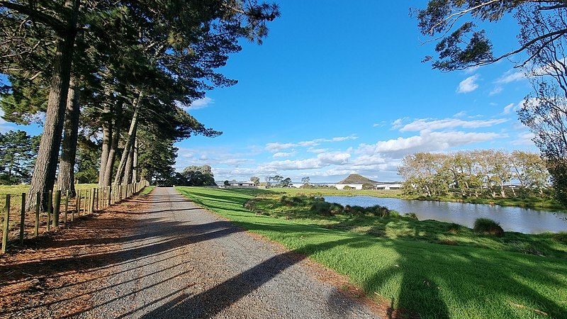 File:Puhinui Pond Crater.jpg