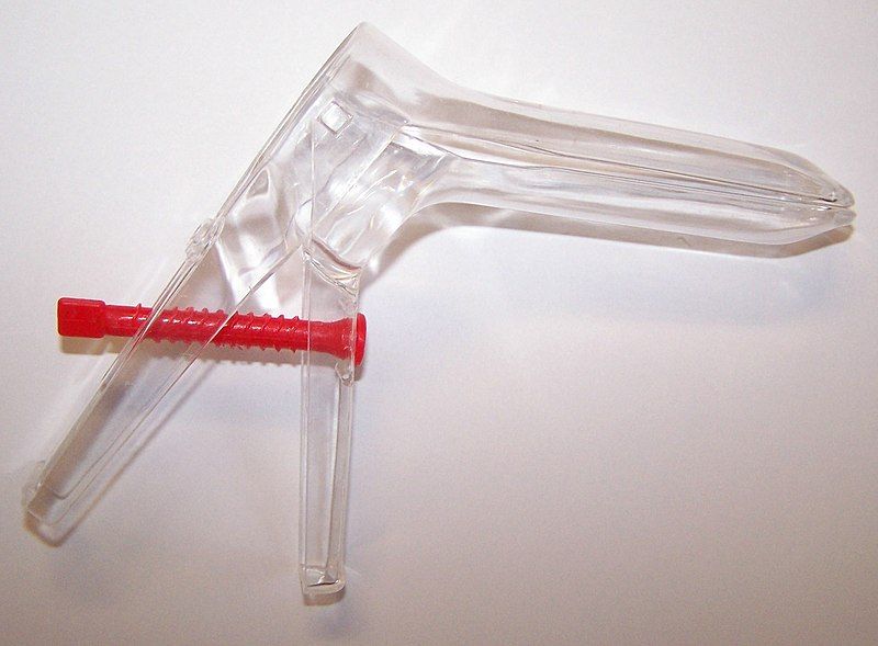 File:Spéculum en plastique.jpg