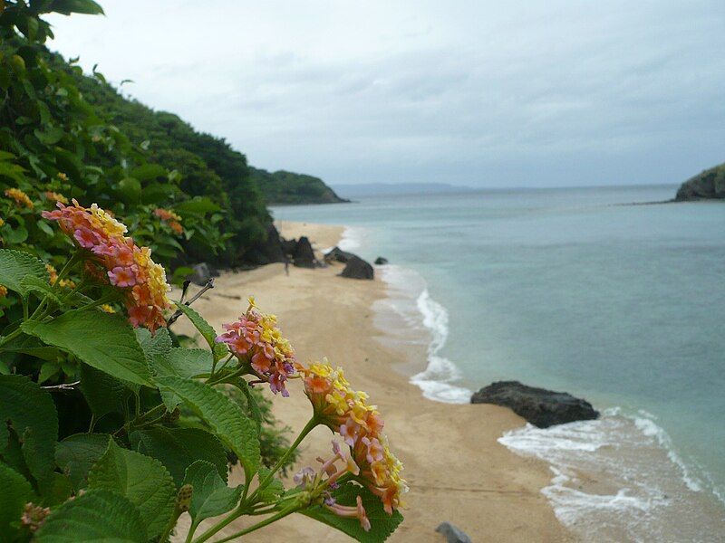 File:Tabunan Beach.JPG