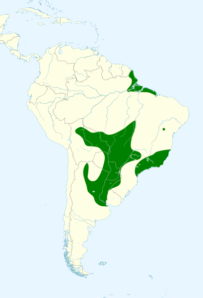 File:Agelasticus cyanopus map.svg