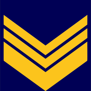 File:Airforce-ALB-OR-9.svg