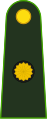 Mayor (Argentine Army)[7]