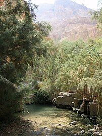 Ein Gedi in Israel, Middle East