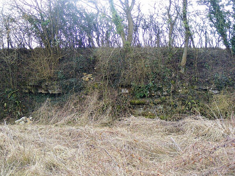 File:Bowlditch quarry.jpg