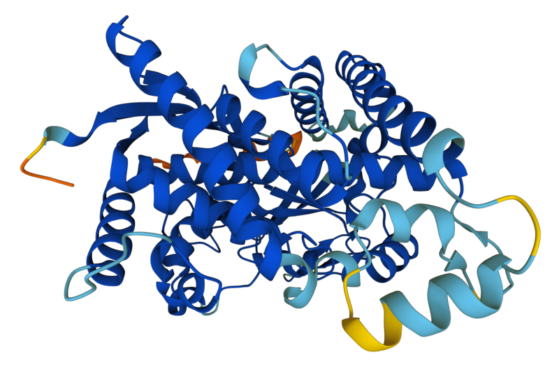 File:CYP4F2 protein structure.png