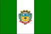 Flag of Ilópolis