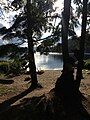 Campsite at Main Lake Provincial Park