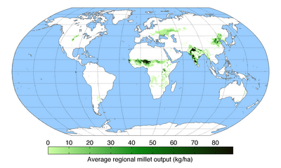 Production of millet (2008) showing major producing regions of the world