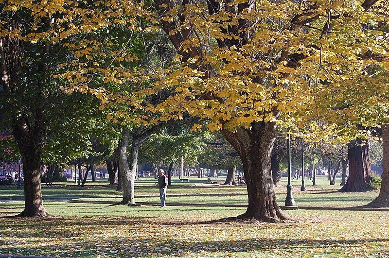 File:Parque Ecuador.jpg